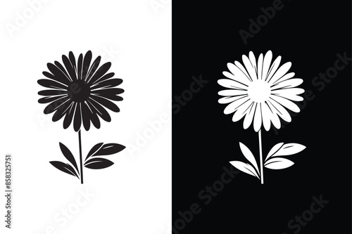 Black and white daisy flower icon. Daisy flower icon silhouette black white background
