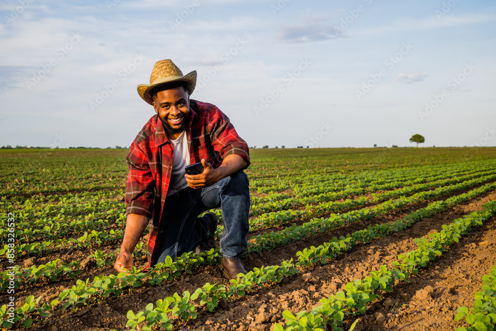 Fototapeta premium Young farmer using mobile phone in his growing soybean field.