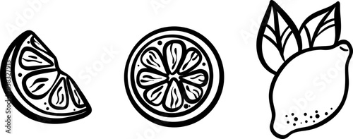 Lemon doodle set, line art illustration collection