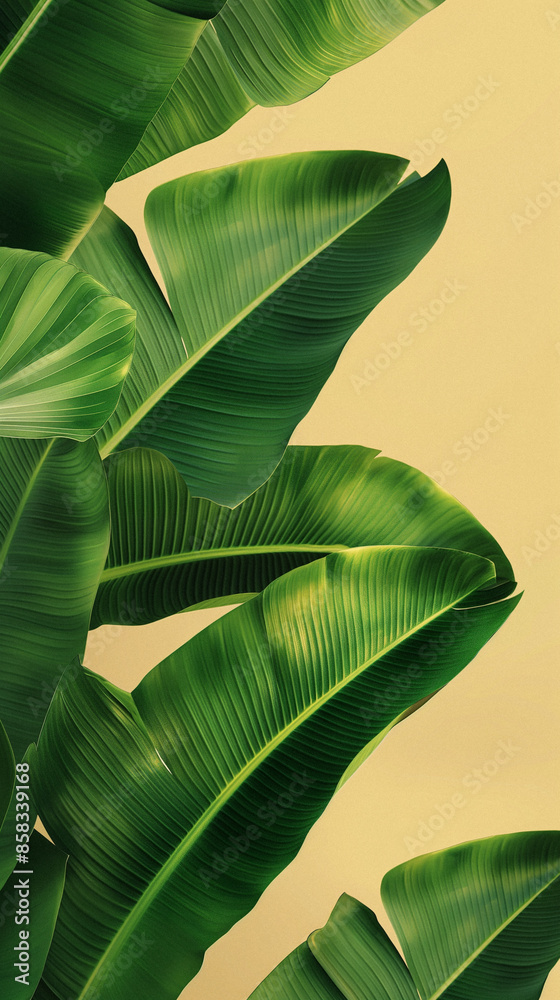 Obraz premium Serenity in Nature: Banana Leaf Symmetry