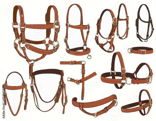color illustrations with leather halter, headstall, bridle. Isolated vector objects
