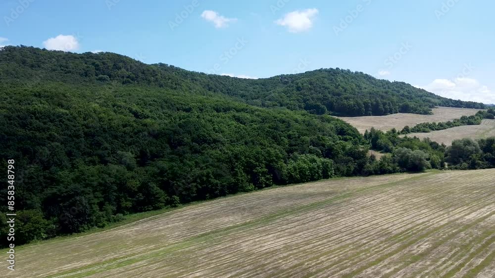 Cut grass for hay for silage and farm animals as food, drone view Cut grass for hay for silage and farm animals as food, drone view
