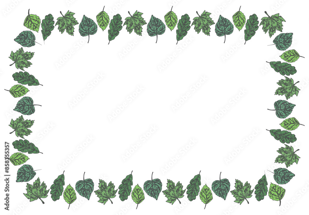 Naklejka premium Frame decorative from drawn various deciduous trees leaves, maple, oak, birch, linden, vector illustration on white background