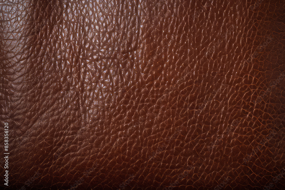 Fototapeta premium Processed collage of brown leather cloth surface texture. Background for banner, backdrop