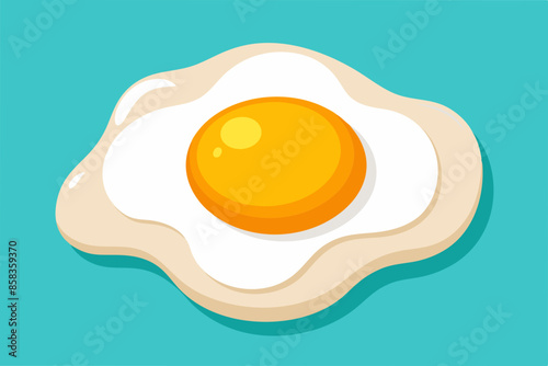 Circle fresh Fried Egg vector photo