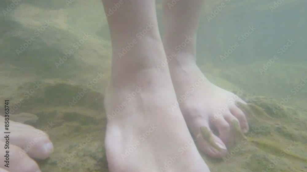 The fish is nibbling legs in the stream of the waterfall. The fish is nibbling legs in the stream of the waterfall.