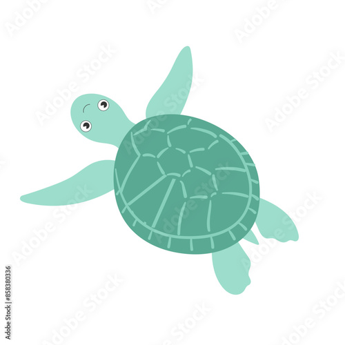  Sea animal turtle with hand drawn sea life elements. Cute marine turtle isolated on a white background, clipart. Cartoon ocean fish