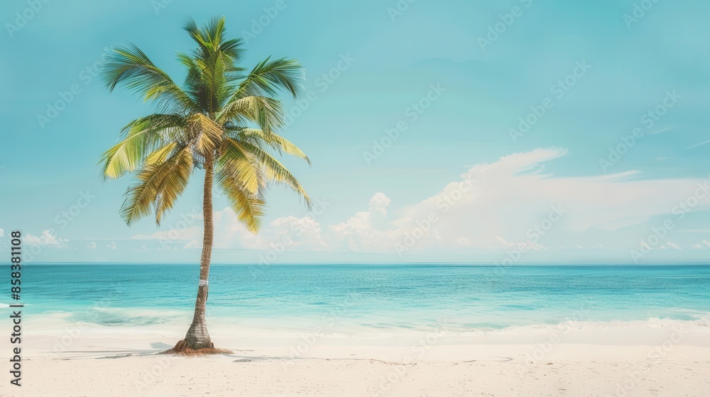idyllic tropical palm tree on sandy beach turquoise ocean water summer vacation idyllic tropical palm tree on sandy beach turquoise ocean water summer vacation