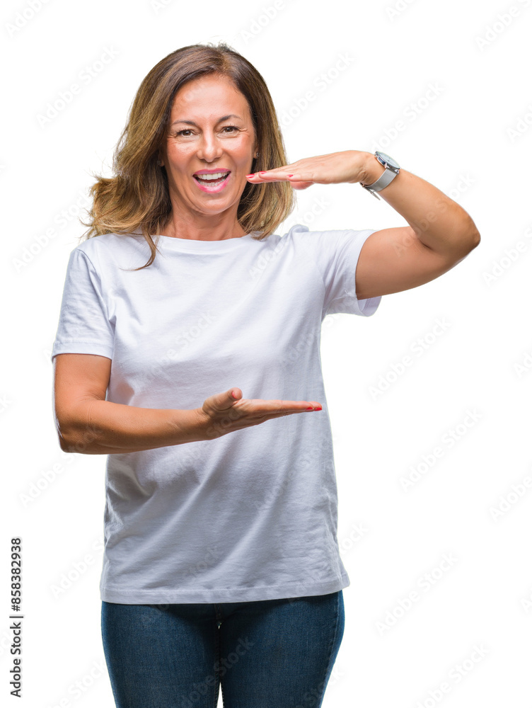 Middle age senior hispanic woman over isolated background gesturing with hands showing big and large size sign, measure symbol. Smiling looking at the camera. Measuring concept. Middle age senior hispanic woman over isolated background gesturing with hands showing big and large size sign, measure symbol. Smiling looking at the camera. Measuring concept.