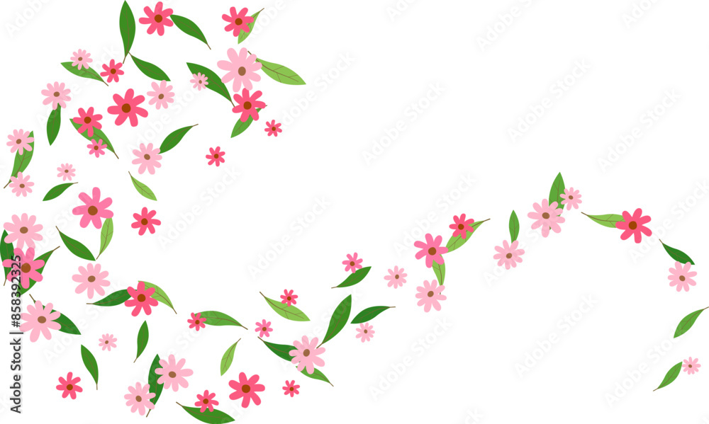 Summer creative layout with swirl of flying pink daisy on a transparent background