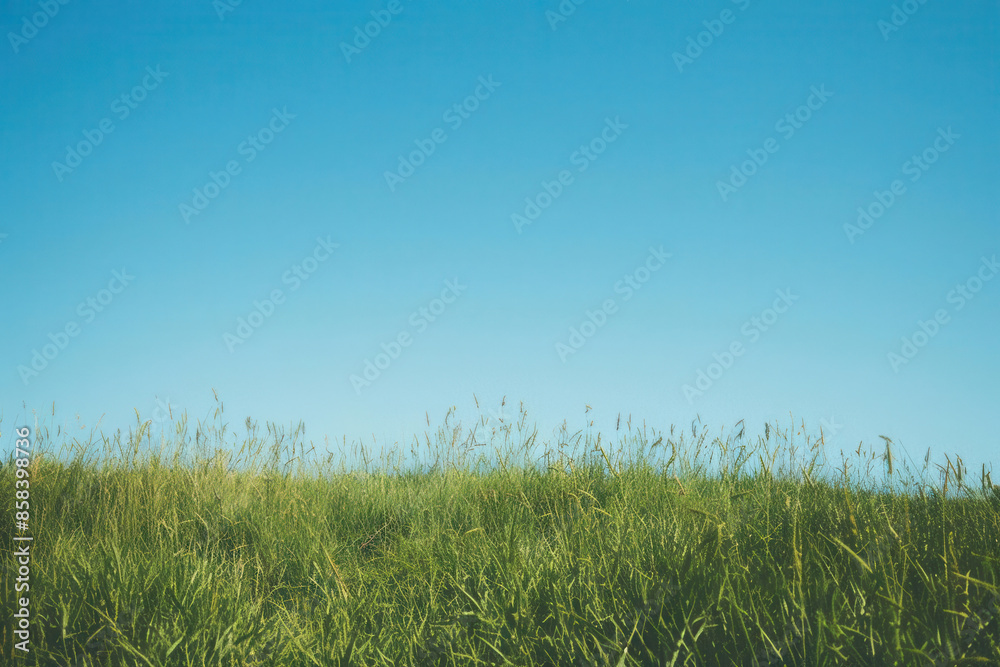 Serene landscape with lush green grass under a clear blue sky, perfect for backgrounds or nature-themed designs. Serene landscape with lush green grass under a clear blue sky, perfect for backgrounds or nature-themed designs.
