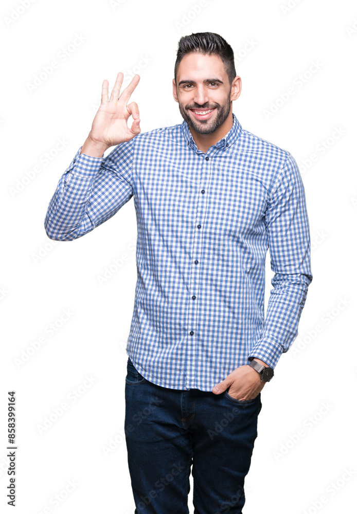 Young handsome man over isolated background smiling positive doing ok sign with hand and fingers. Successful expression. Young handsome man over isolated background smiling positive doing ok sign with hand and fingers. Successful expression.