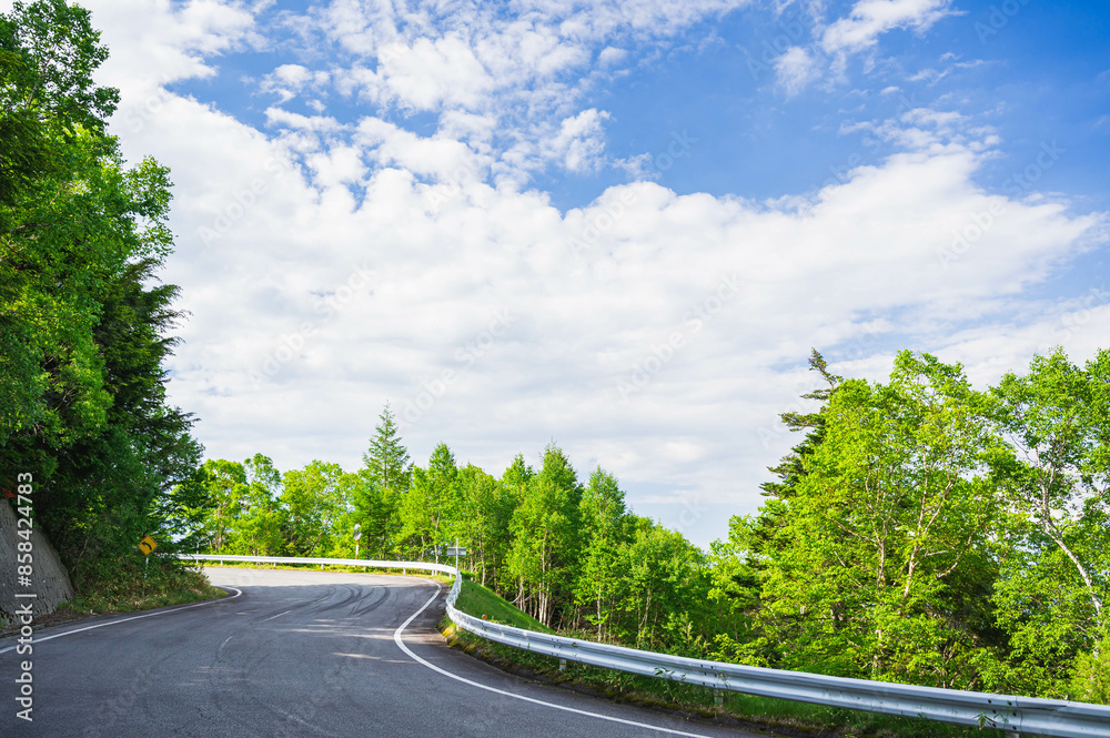 Fototapeta premium 美ヶ原高原ドライブ 県道464号線