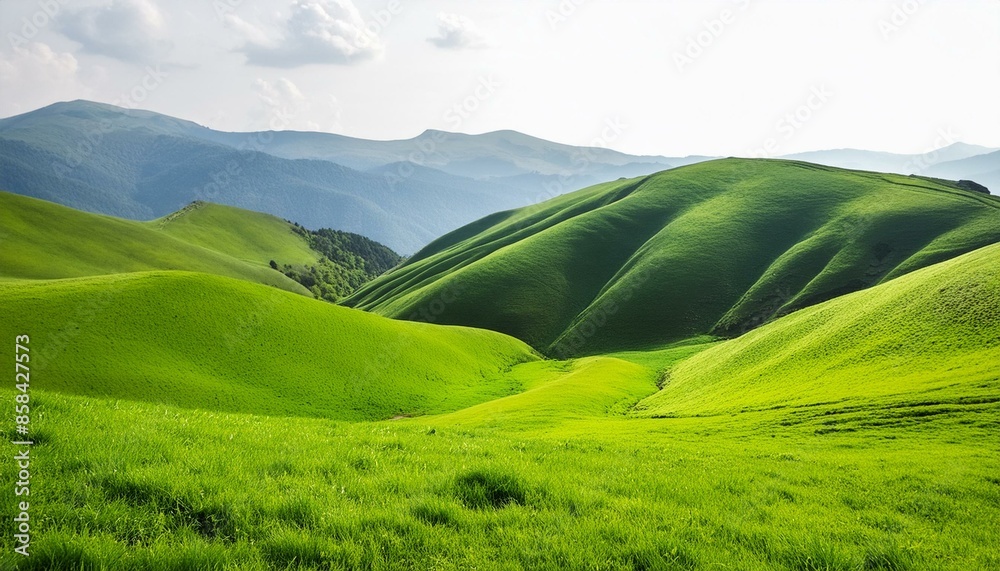 Obraz premium Vibrant Green Grass Hills on White Background
