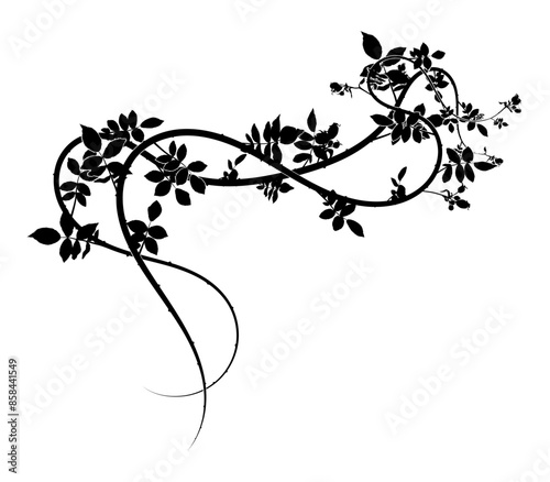 an elegant branch for decorating printing and for
