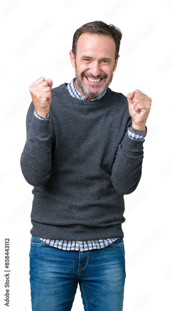 Handsome middle age senior man wearing a sweater over isolated background celebrating surprised and amazed for success with arms raised and open eyes. Winner concept.