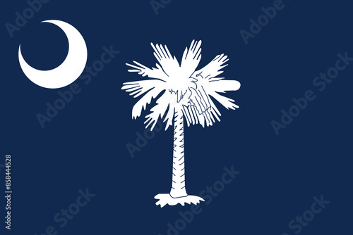  South Carolina State Flag illustration. South Carolina Flag. 
