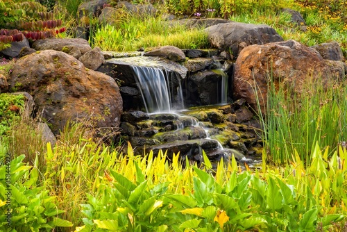 Waterfall and varoious flowers and plants at the Oregon Garden in Silverton