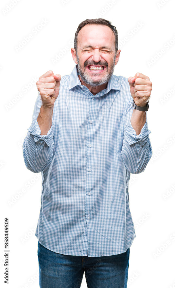 Middle age hoary senior business man over isolated background excited for success with arms raised celebrating victory smiling. Winner concept. Middle age hoary senior business man over isolated background excited for success with arms raised celebrating victory smiling. Winner concept.