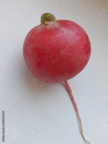 Fresh radish on white background.