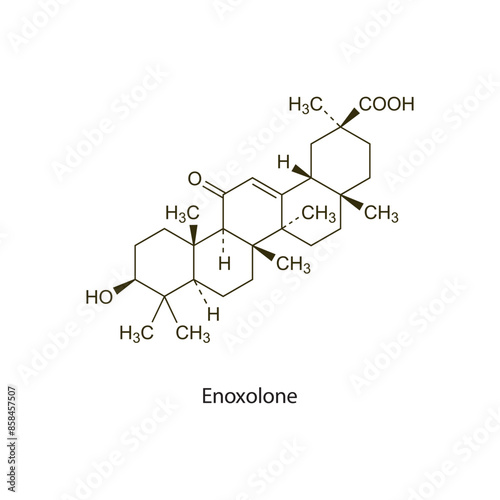 Enoxolone flat skeletal molecular structure Rubefacient agent drug used in pain treatment. Vector illustration scientific diagram.