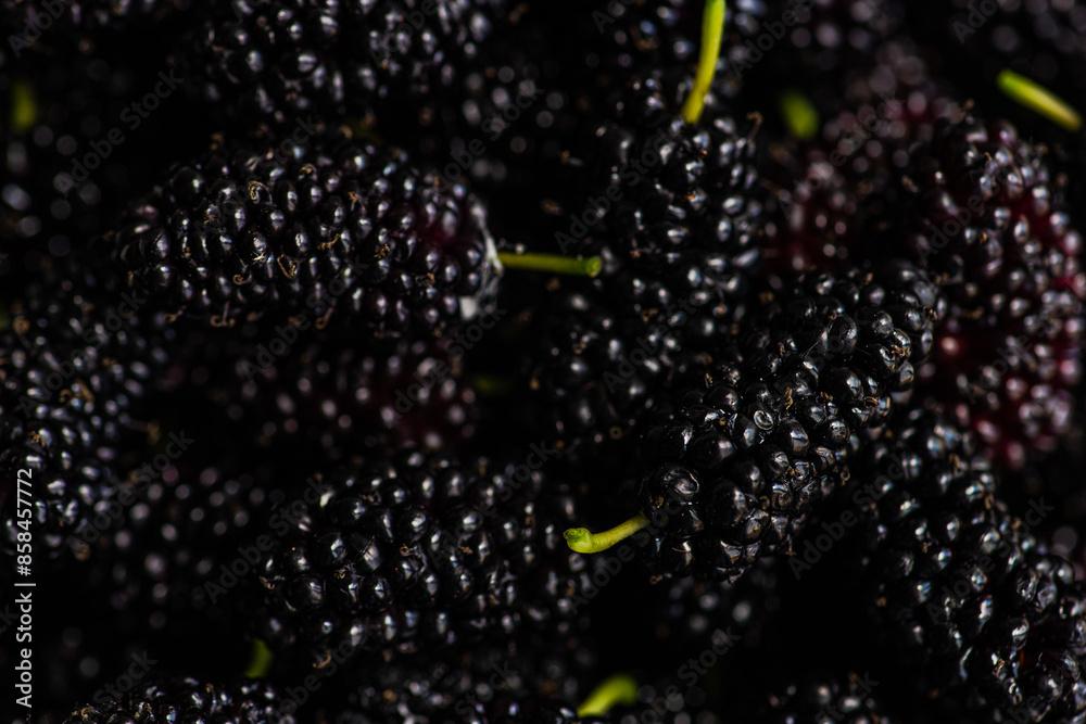 Close-up of fresh, dark mulberries in natural lighting