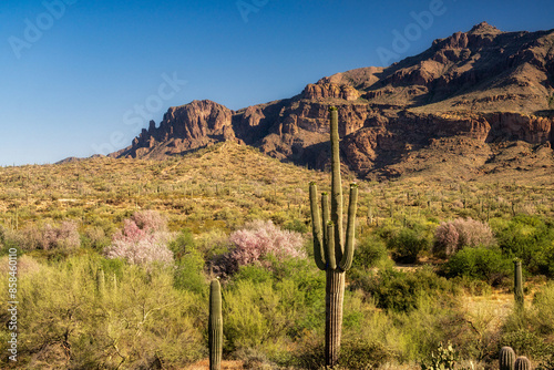 View of Peralta Regional Park