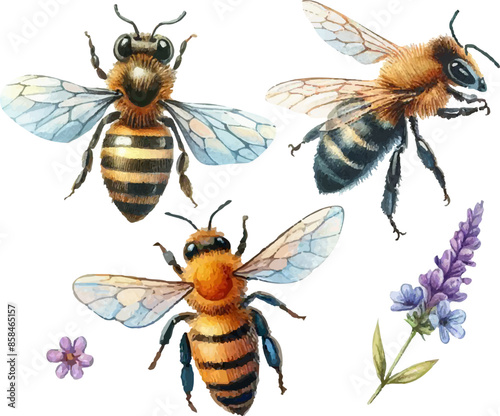 set with three bees and flowers.