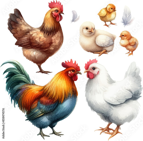 set with hens, roosters, chicks and eggs in watercolor style in vector