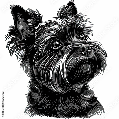 A black and white drawing of a yorkshire terrier dog