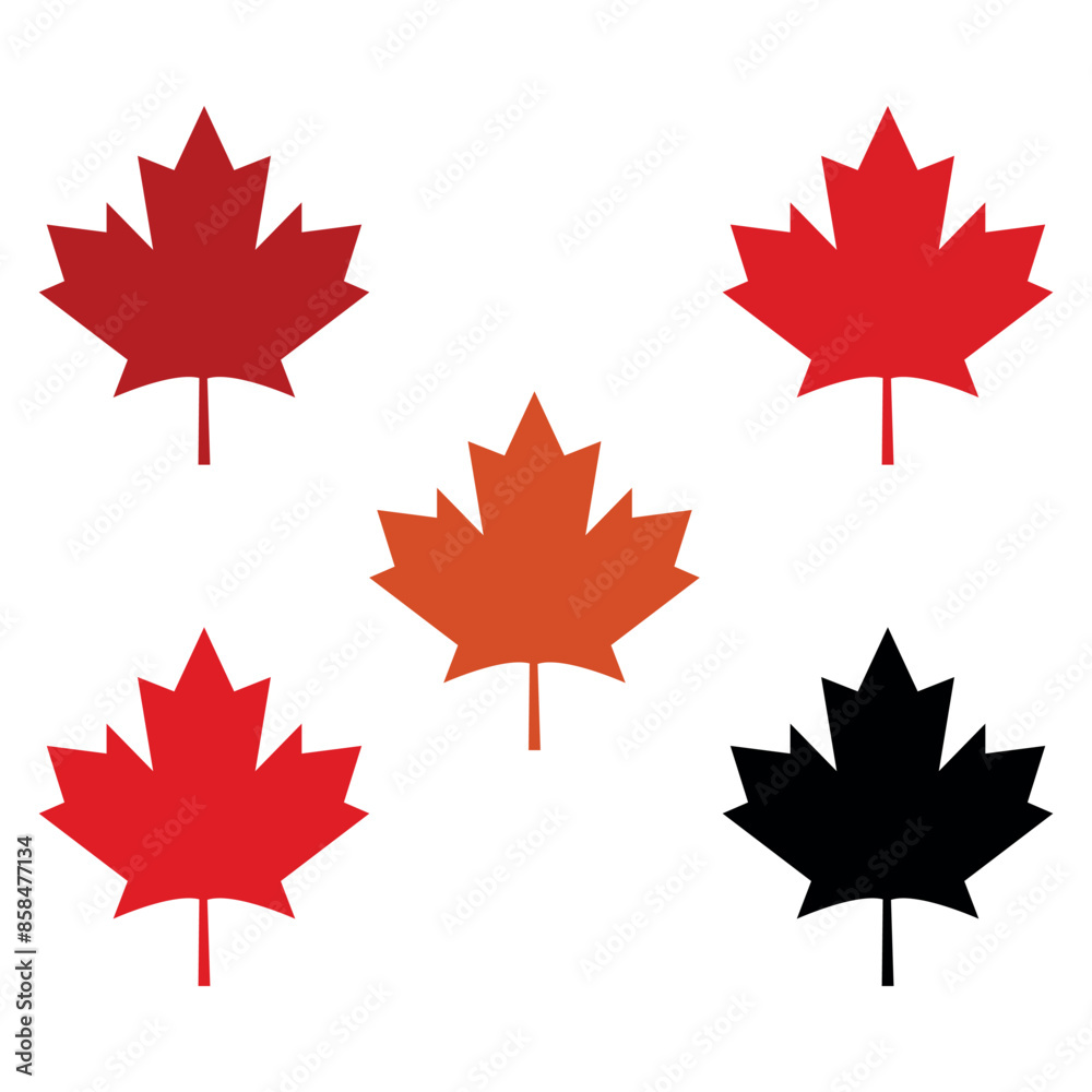 Maple leaf logo and maple leaf logo set Five colorful maple leaves in varying shades of red, orange and black arranged symmetrically on a white background. Maple leaf logo and maple leaf logo set Five colorful maple leaves in varying shades of red, orange and black arranged symmetrically on a white background.