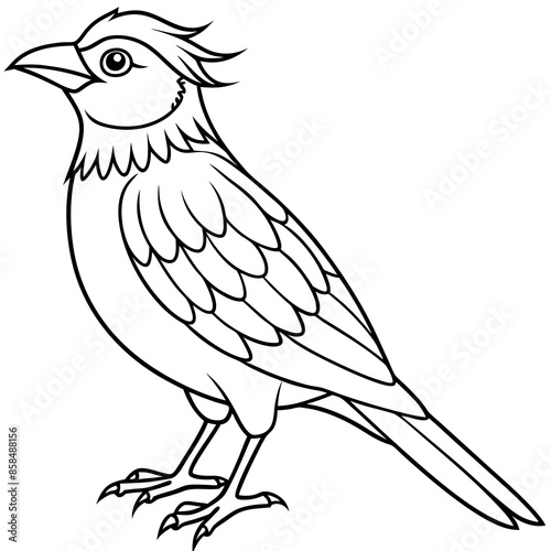One bird vector illustration 