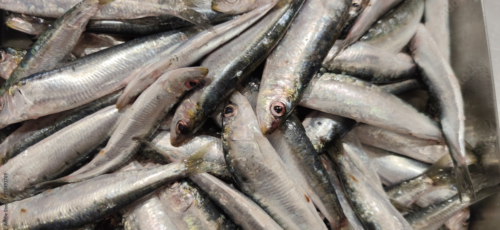 Fototapeta premium raw fresh coast fish ready to cook