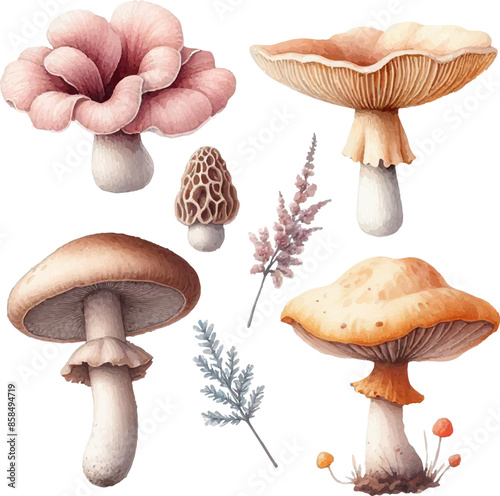 set with
 assorted mushrooms in watercolor style