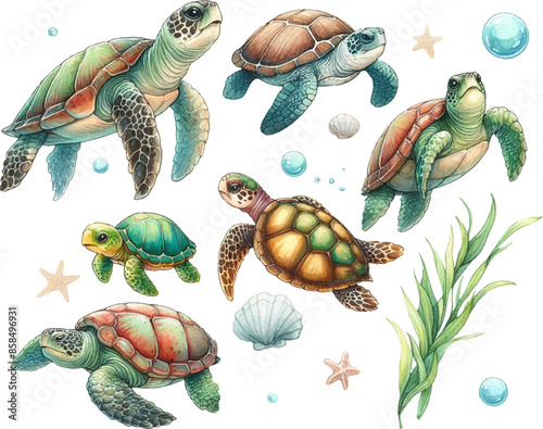set with
 turtles in watercolor style