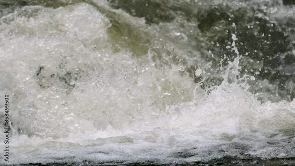Close up on fish jumping through rapid - super slow motion Close up on fish jumping through rapid - super slow motion