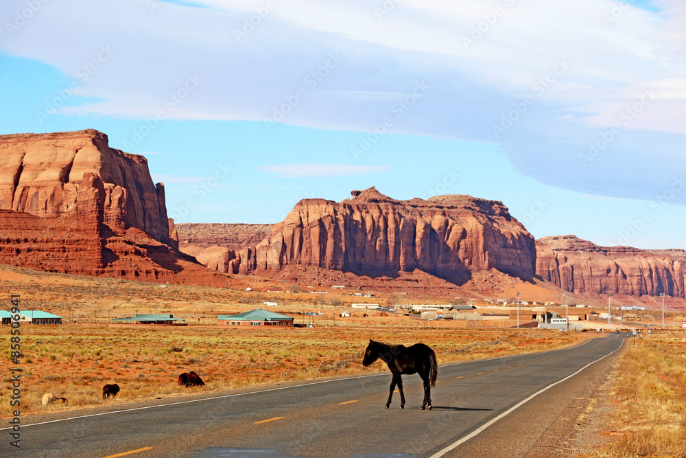 Horse crossing the road in Monument Valley, Utah Horse crossing the road in Monument Valley, Utah