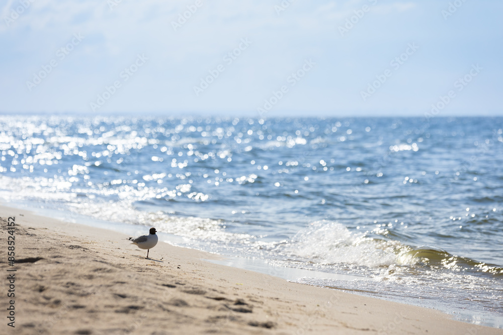 Linia brzegowa nad morzem, krajobraz morski, tapeta, wakacje i wypoczynek w słoneczny dzień, Morze Bałtyckie i piaszczysta plaża Linia brzegowa nad morzem, krajobraz morski, tapeta, wakacje i wypoczynek w słoneczny dzień, Morze Bałtyckie i piaszczysta plaża