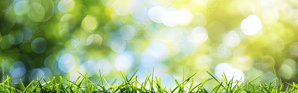 Obraz premium Lush Green Garden Grass in Close-Up