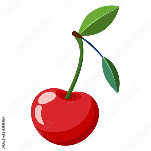 cherry fruit illustration