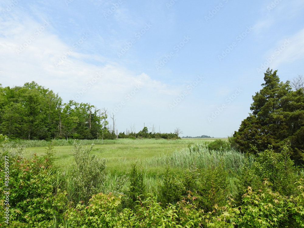 The beautiful summer scenery of the Bombay Hook National Wildlife Refuge, Kent County, Delaware. The beautiful summer scenery of the Bombay Hook National Wildlife Refuge, Kent County, Delaware.