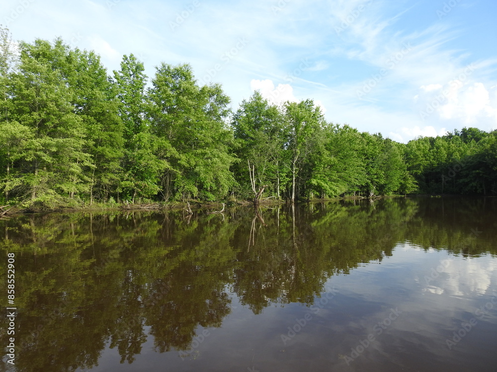 The beautiful summer scenery of the wetlands within the Bombay Hook National Wildlife Refuge, Kent County, Delaware. The beautiful summer scenery of the wetlands within the Bombay Hook National Wildlife Refuge, Kent County, Delaware.