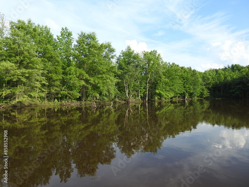 The beautiful summer scenery of the wetlands within the Bombay Hook National Wildlife Refuge, Kent County, Delaware.