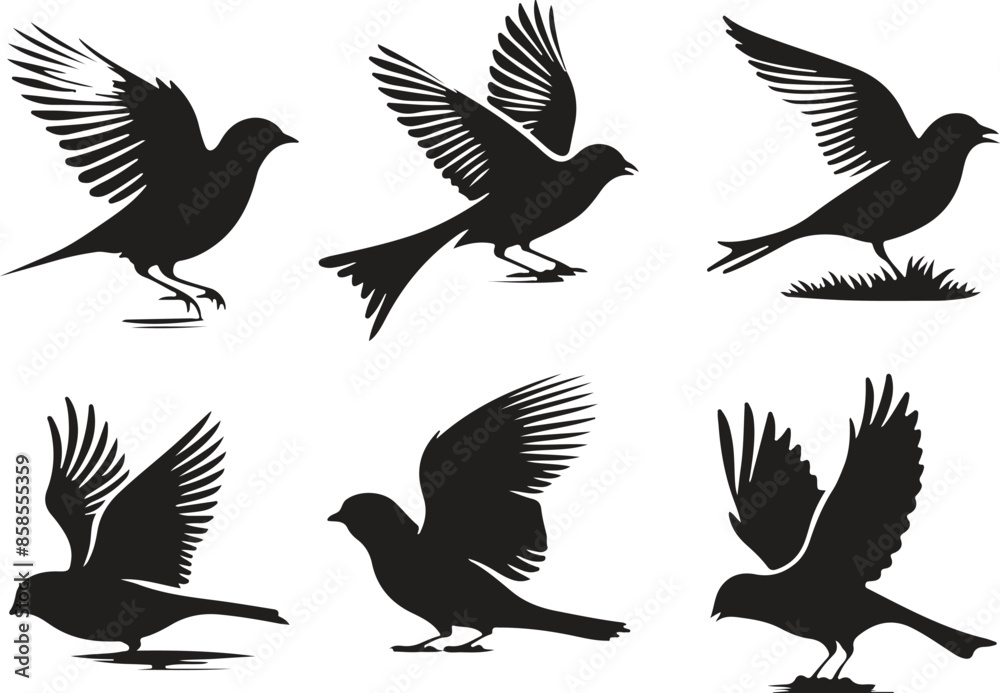set of silhouettes of birds set of silhouettes of birds