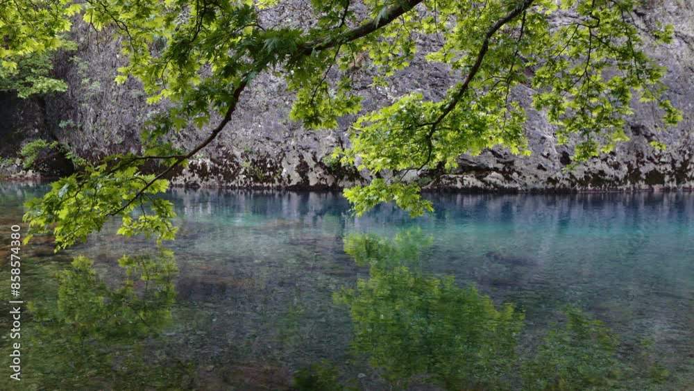 A vibrant green tree branch extends over crystal clear turquoise water, creating a peaceful and serene scene on the Voidomatis River. A vibrant green tree branch extends over crystal clear turquoise water, creating a peaceful and serene scene on the Voidomatis River.