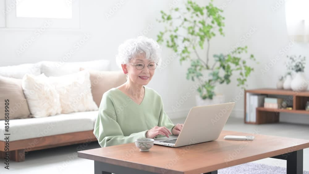 Video of a senior woman operating a computer in a beautiful half-backlit living room. Video of a senior woman operating a computer in a beautiful half-backlit living room.