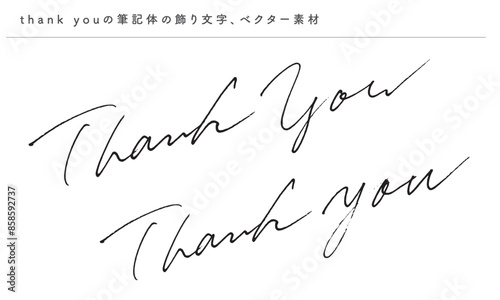 Thank youのあしらい用飾り文字、筆記体の英語の手書き文字、ベクター素材
