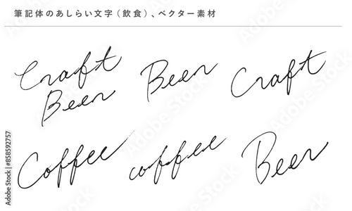 コーヒーとビールのあしらい用飾り文字、筆記体の英語の手書き文字、ベクター素材