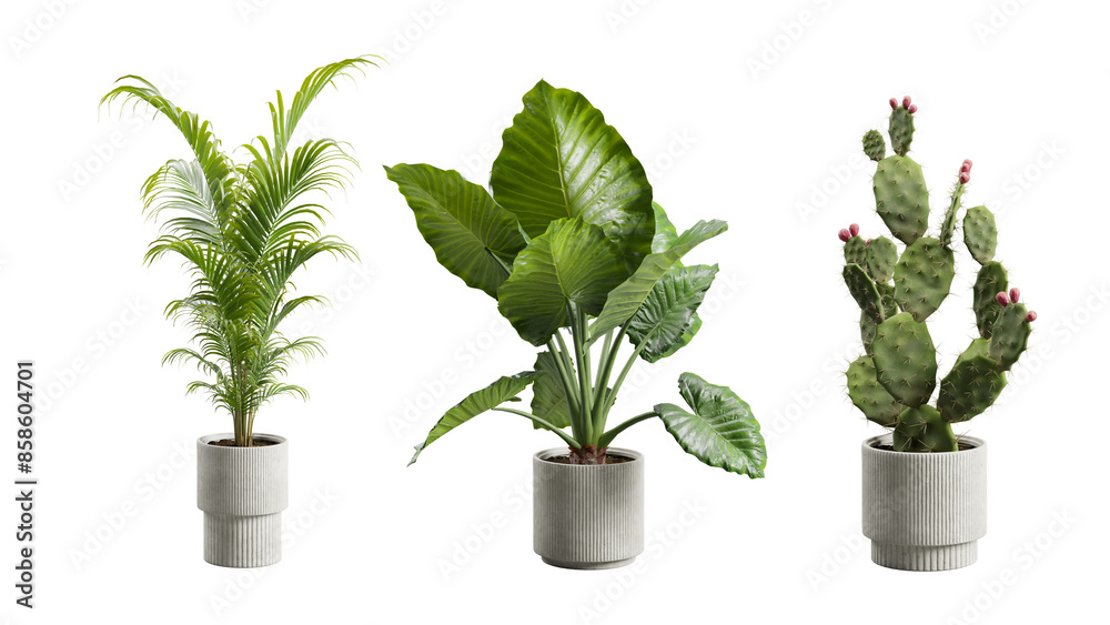 Fototapeta premium Exotic Plants in Concrete Planter Transparent Background