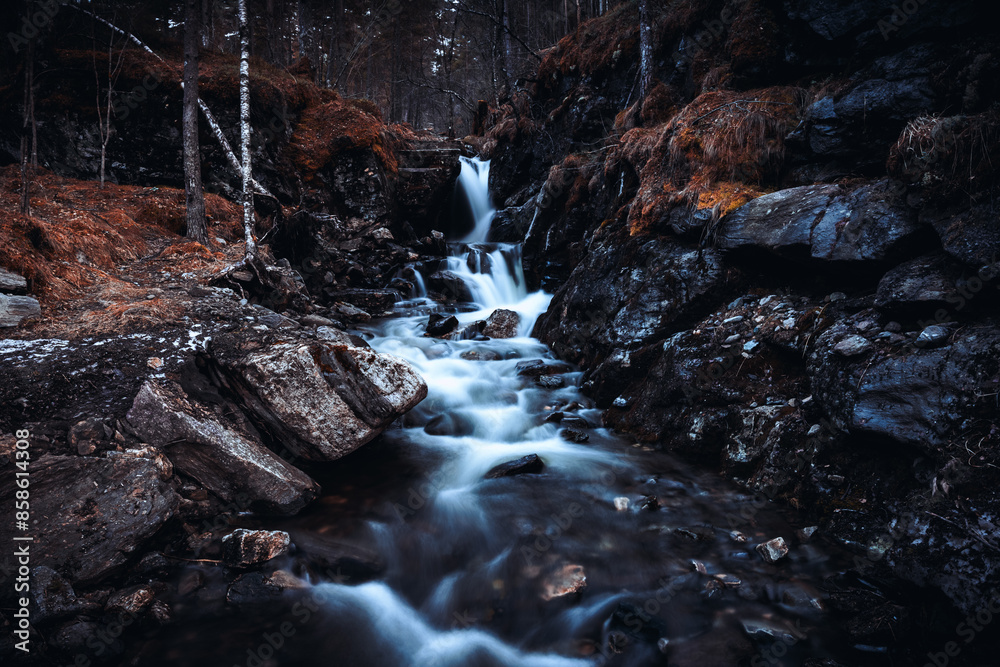 Obraz premium Forest Waterfall Wallpaper Background